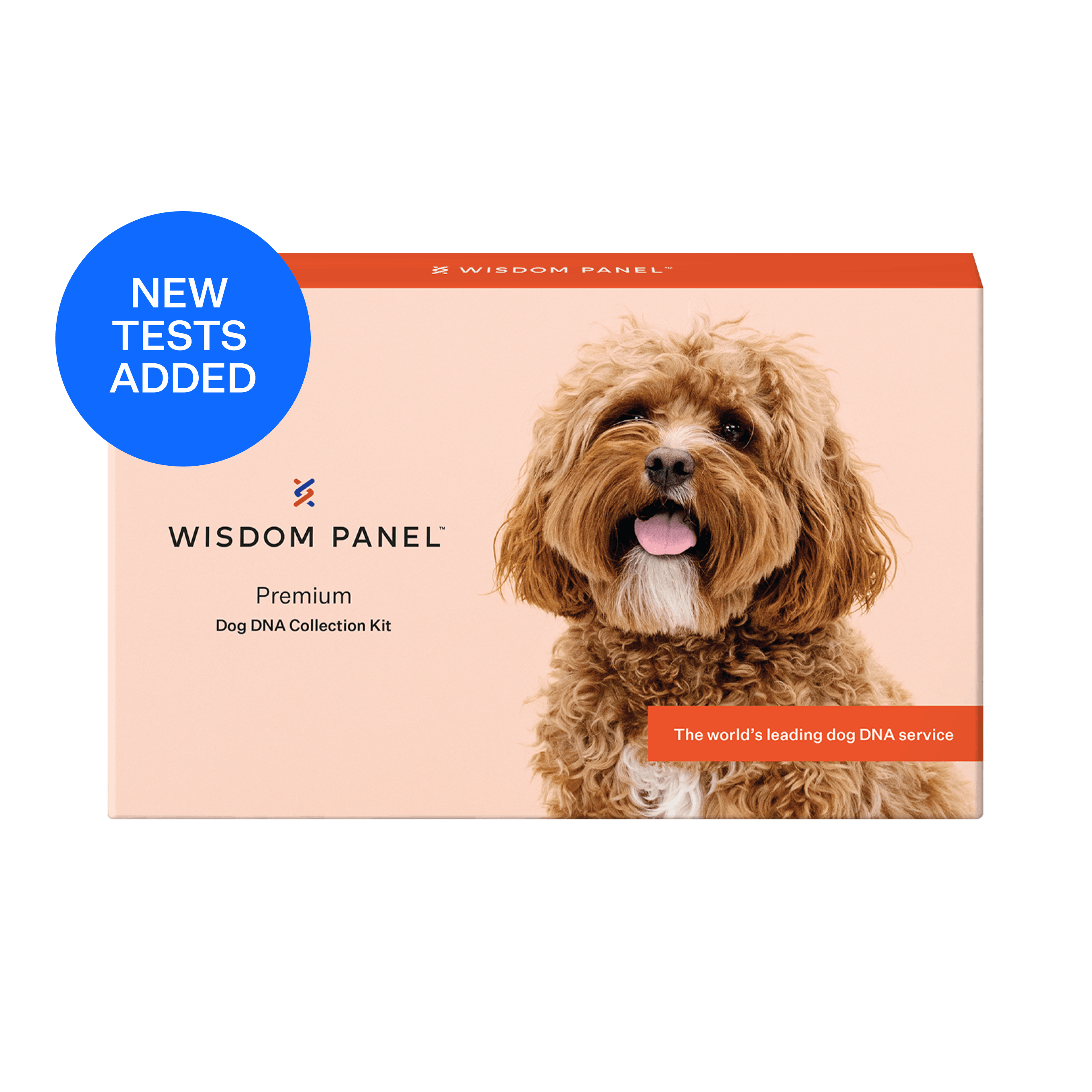 Wisdom Panel™ Premium dog DNA test | Most accurate breed detection